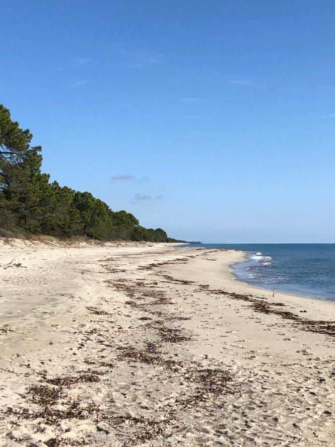San-Gavino-di-Fiumorbo Butiaヴィラ エクステリア 写真